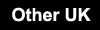 Other U K Button